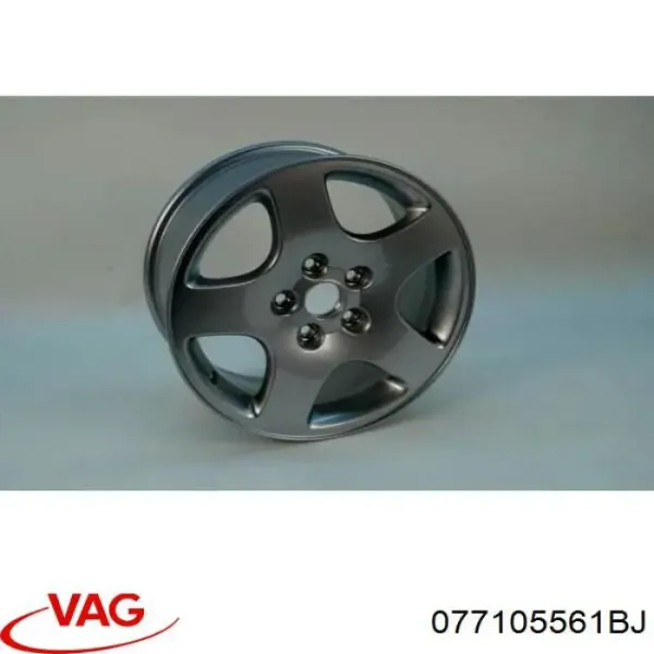 077105561BJ VAG
