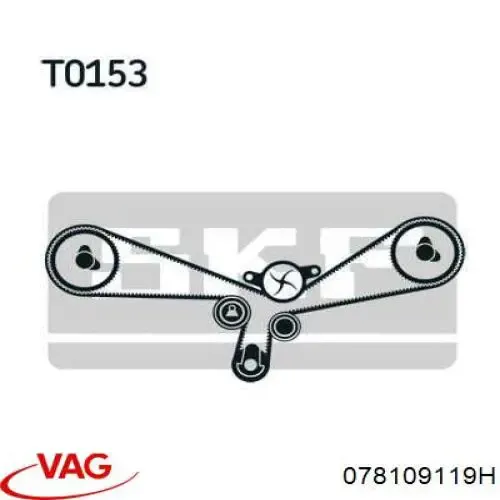 078109119H VAG Ремень двигателя