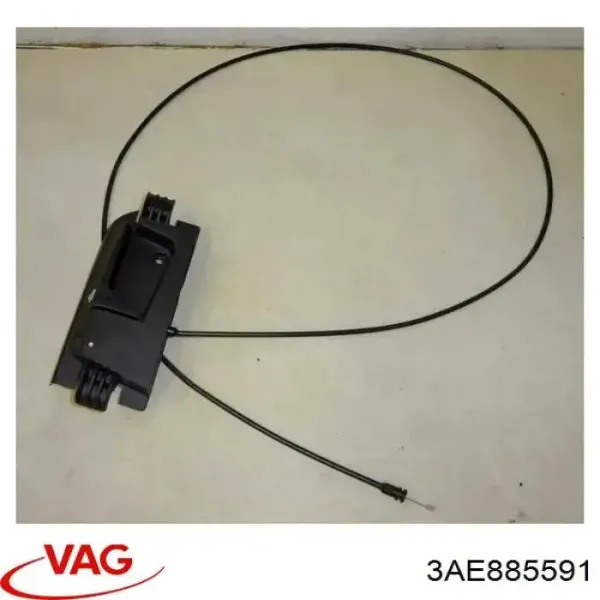  3AE885591 VAG