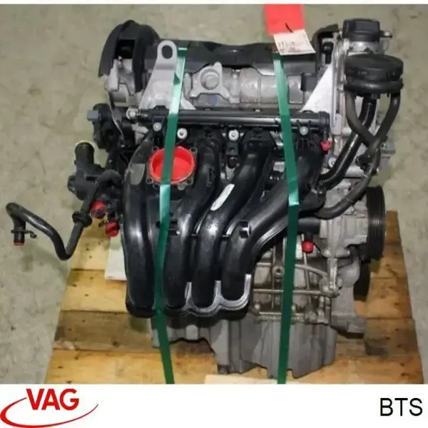 Двигатель BTS VAG