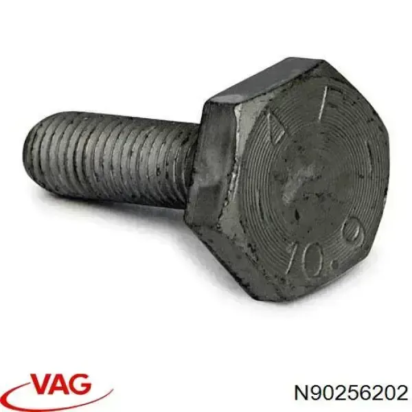 Болт шестерни распредвала N90256202 VAG
