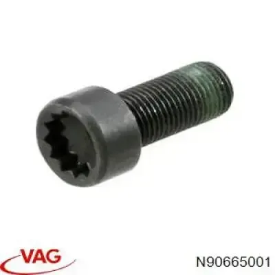Болт крепления маховика N90665001 VAG