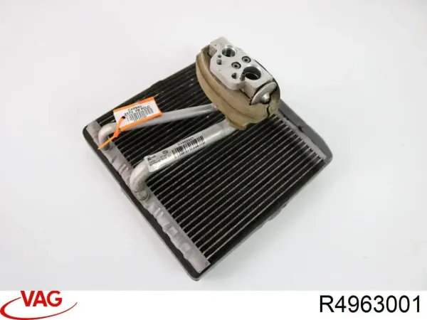  R4963001 VAG
