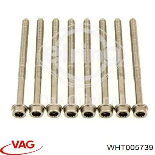 WHT005739 VAG Болт головки блока цилиндров (ГБЦ)