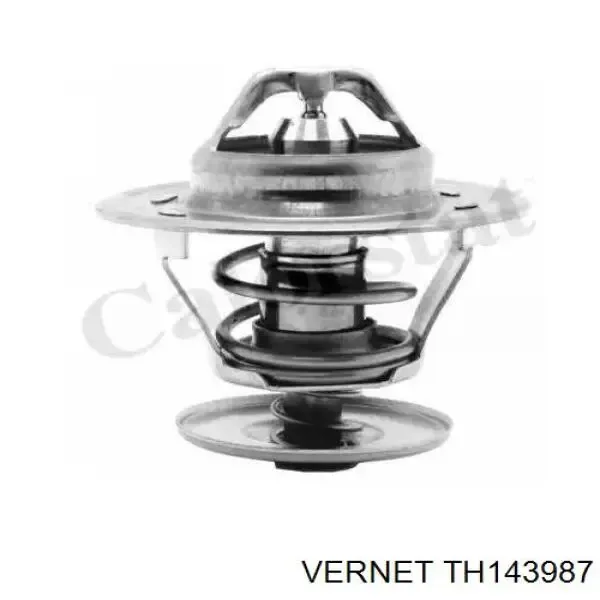 Термостат TH143987 Vernet