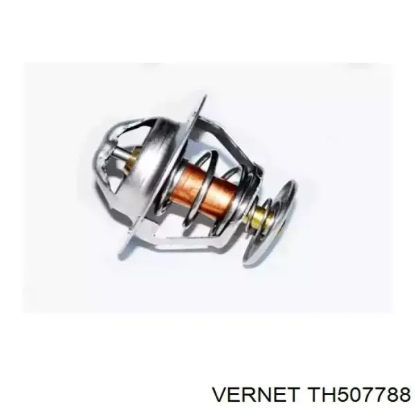 Термостат TH507788 Vernet