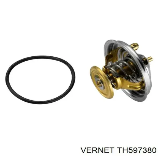 Термостат TH597380 Vernet