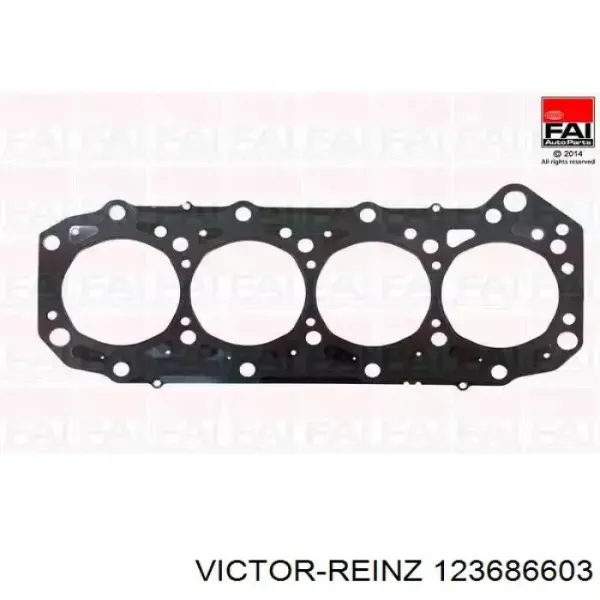 123686603 Victor Reinz Сальник клапана (маслосъёмный), впускного, комплект