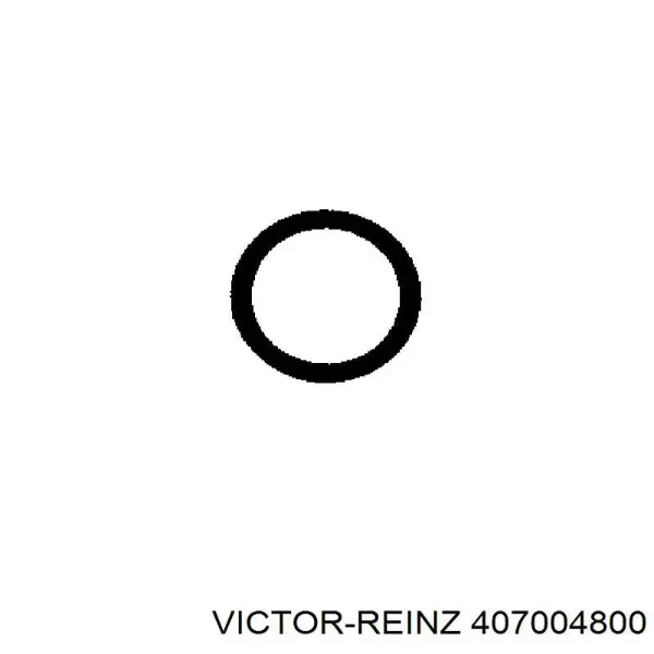 Кольцо форсунки 407004800 Victor Reinz