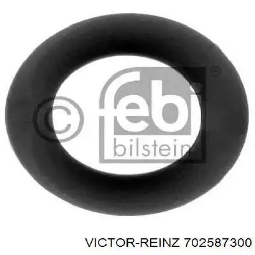 Прокладка ТНВД 702587300 Victor Reinz