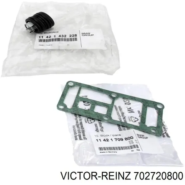 victor-reinz-702720800-