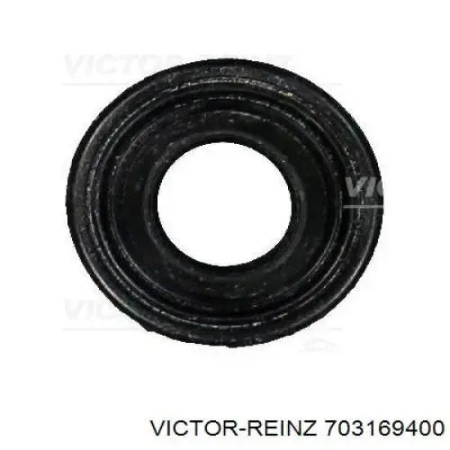 Прокладка клапанной крышки 703169400 Victor Reinz
