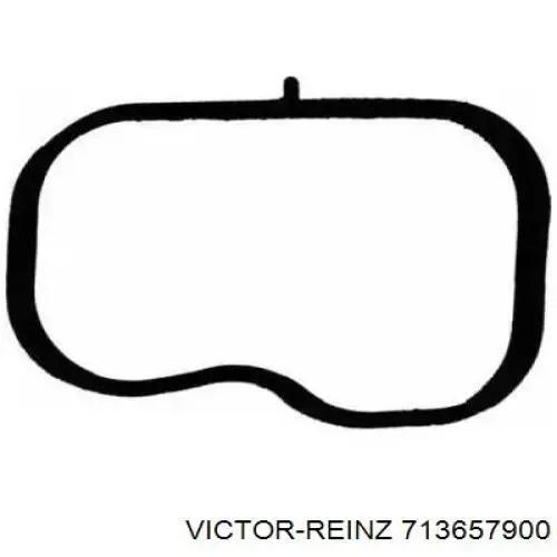  Прокладка впускного коллектора на Ford Mondeo III B4Y