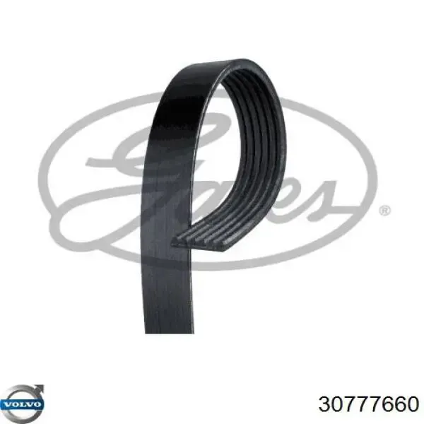 Клиновый ремень Volvo 30777660 цена, от