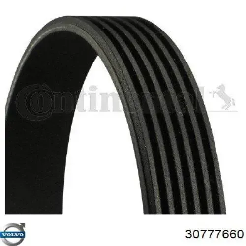 Купить 30777660 Volvo Ремень генератора