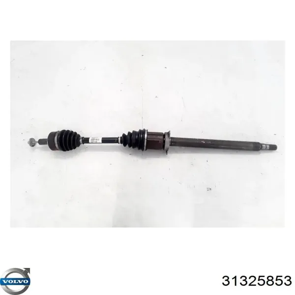  31325853 Volvo