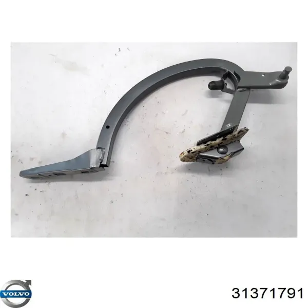 Петля крышки багажника 31371791 Volvo