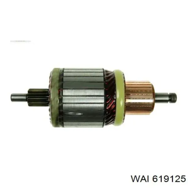 Якорь стартера 1004011020 Bosch