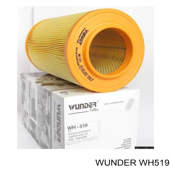 Воздушный фильтр WH519 Wunder