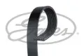 Ремень генератора 8200243021 Renault (RVI)