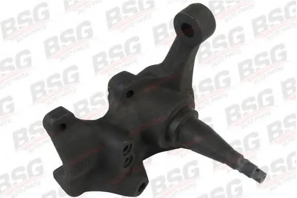 Цапфа передняя правая SS1172R DP Group