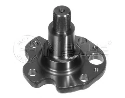 Купить 1005010029 Meyle Поворотный кулак задний