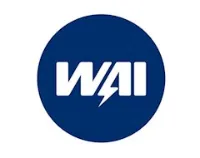 WAI о датчиках массового расхода воздуха