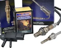 Walker Products становится членом IAAF