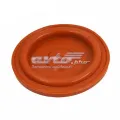  KLIFEX KLLR010780