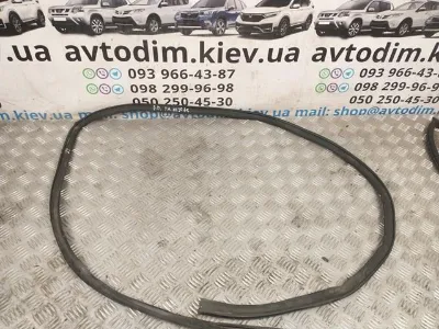 Уплотнитель двери задней левой (на кузове) NISSAN 769248H300