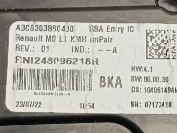  248096218R Renault (RVI)