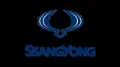 Ремкомплект водяной помпы SSANG YONG 0179972148