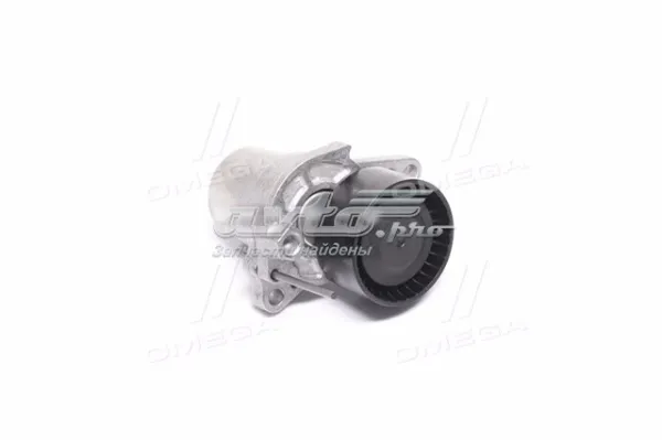 Натяжитель приводного ремня 534062410 Schaeffler Gruppe