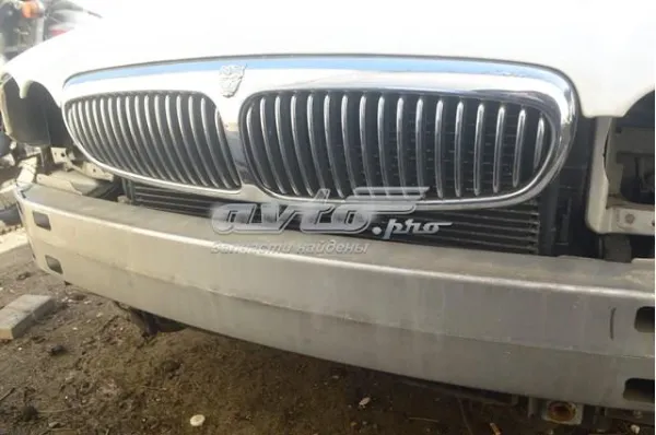  C2S19688 Jaguar