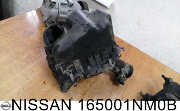  165001NM0B Nissan/Infiniti