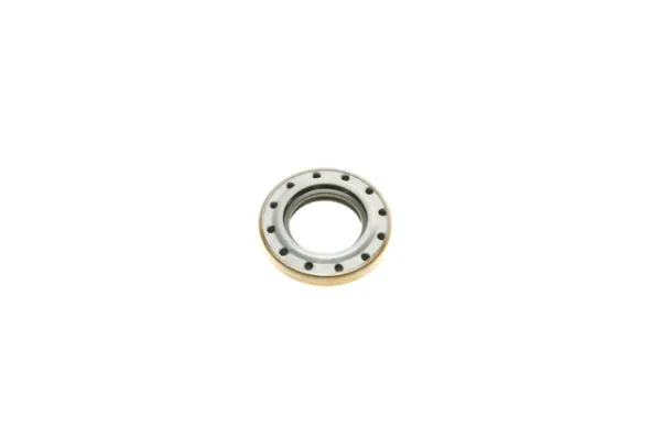 Подшипник первичного вала коробки Fiat/Alfa/Lancia 55259256