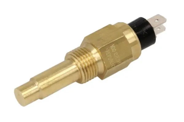  323803001059D Continental/Siemens