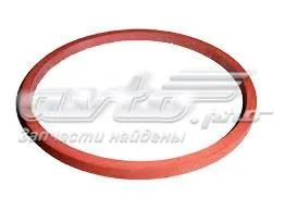 Прокладка адаптера масляного холодильника 110435 Peugeot/Citroen