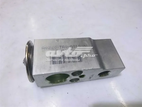  A0220TA0A010M1 Honda