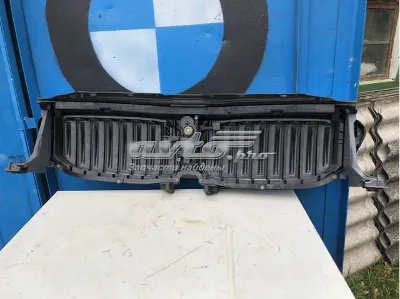 Решетка радиатора BMW 51747497279