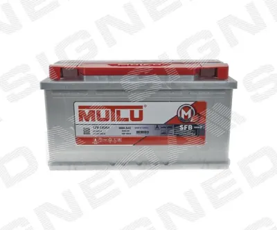 Аккумуляторная батарея сигнеда 95 А/ч 12 В (AH100M)