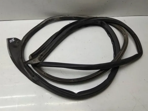 Уплотнитель двери передней правой (на двери) General Motors 96585721 цена, от 63.34 USD