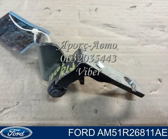 Петля двери задней левой AM51R26811AE Ford