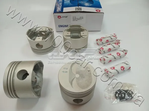  PXSEN4F4126025 AMP/Paradowscy