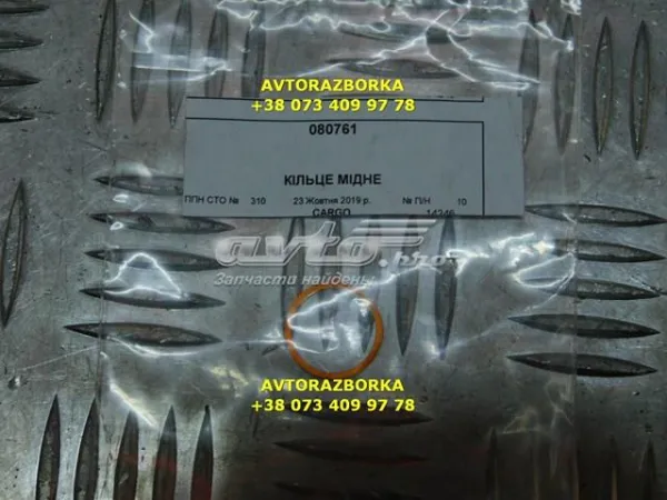 Кольцо форсунки инжектора посадочное Cargo 080761