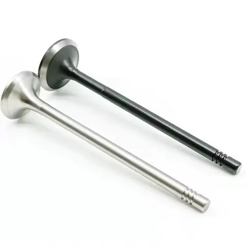 Выпускной клапан 132025379R Renault (RVI)