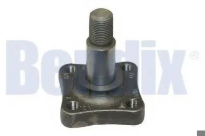Цапфа (поворотный кулак) задний RENAULT 6001548987