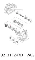Кольцо синхронизатора Volkswagen Passat 362