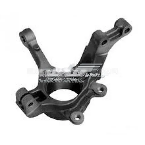 Корпус поворотного кулака переднего левого 8200881941 Renault (RVI)