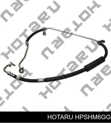 Шланг ГУР высокого давления HPSHFZJ100 Hotaru